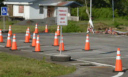 ഡ്രൈവിംഗ് സ്‌കൂളുകളുടെ സമരം തുടരുന്നു ; പോലീസ് സംരക്ഷണയില്‍ ടെസ്റ്റ് നടത്താന്‍ എംവിഡി