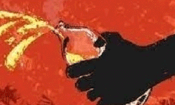 ഭാര്യയ്ക്ക് നേരെ ' ഐസ്‌ക്രീം ' അസിഡ് ആക്രമണം; ഗുരുതരമായി പൊള്ളലേറ്റ മകന്‍ ആശുപത്രിയില്‍ 
