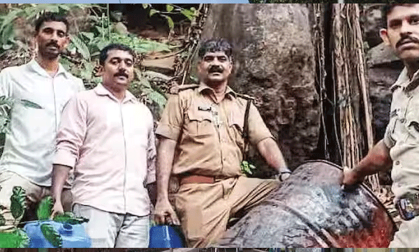 ചാലിയാർ പഞ്ചായത്തിന്റെ വിവിധ ഭാഗങ്ങളില്‍ എക്സൈസ് നടത്തിയ പട്രോളിങ്ങിനിടെ  305 ലിറ്റർ വാഷ് പിടികൂടി