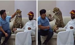 ഒന്നും വേണ്ടായിരുന്നു! താലേിക്കാന്‍ ചെന്ന യുവാവിനെ കരണത്തടിച്ച് ചീറ്റ, വൈറലായി വീഡിയോ 
