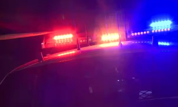 ഷാര്‍ജയില്‍ റോഡ് മുറിച്ചു കടക്കുന്നതിനിടെ വാഹനമിടിച്ചുണ്ടായ അപകടത്തില്‍ വിദേശി മരിച്ചു