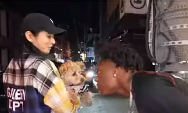 കിട്ടിയോ, ഇല്ല ചോദിച്ചു മേടിച്ചു: പട്ടിയെ നോക്കി കുരച്ചു, യൂട്യൂബറിന് കിട്ടിയത് ഉഗ്രന്‍ കടി, വൈറലായി വീഡിയോ 
