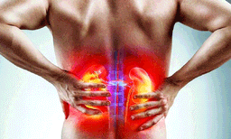 ഇരകളെ വിദേശത്തെത്തിച്ചത് ജോലി വാഗ്ദാനം നല്‍കി; പലരെയും കൊണ്ടുപോയത് വീട്ടുജോലിക്കെന്ന് പറഞ്ഞ് ; വൃക്ക നല്‍കിയ വീടുകളില്‍ തന്നെ ജോലിയും ; തിരിച്ചുവരാത്തവരും നിരവധി