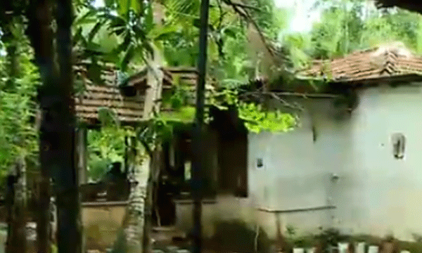 കൂട്ടുകാരനെയും അമ്മയേയും നായയില്‍ നിന്നും രക്ഷിക്കാന്‍ ശ്രമിച്ച എട്ടുവയസ്സുകാരന് കടിയേറ്റു ; പേവിഷബാധയേറ്റ് മരണം 