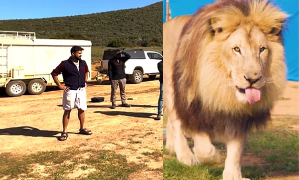 ‘‘സിംഹം ഗ്രാഫിക്സ് ആണത്രേ ഗ്രാഫിക്സ്, അതും മാന്ത് കിട്ടിയ എന്നോട്...’’ ഗര്‍ര്‍ര്‍ സിനിമയിലെ ലൊക്കേഷന്‍ വീഡിയോ പങ്കിട്ട് കുഞ്ചാക്കോ ബോബന്‍