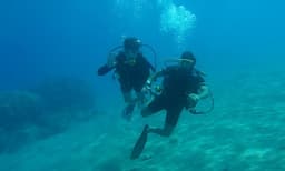 കടലിനടിയില്‍ നിന്ന് മാലിന്യം നീക്കുന്നതിനിടെ കണ്ടത് മാര്‍ക്ക് ചെയ്ത പൊതികള്‍: പരിശോധിച്ചപ്പോള്‍ കൊക്കെയ്ന്‍ എന്ന് മുങ്ങല്‍ വിദഗ്ധര്‍ 
