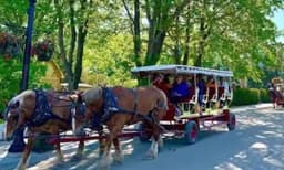 സഞ്ചരിക്കാന്‍ കുതിര വണ്ടികള്‍, കണ്ണഞ്ചിപ്പിക്കുന്ന മനോഹര കാഴ്ചകള്‍: സഞ്ചാരികളുടെ പ്രിയപ്പെട്ട ആ ദ്വീപ് ഇതാണ് 
