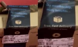 ഡെലിവറി ചെയ്ത ആമസോണ്‍ കവറില്‍ മൂര്‍ഖന്‍ പാമ്പ്: ഞെട്ടിക്കുന്ന ദൃശ്യങ്ങള്‍ പുറത്ത് 
