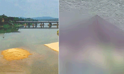 ഭാരതപ്പുഴയിൽ പോത്തുകൾ ചത്തുപൊങ്ങി ​‍; കണ്ടെത്തിയത് ഏഴ് ജഡങ്ങൾ
