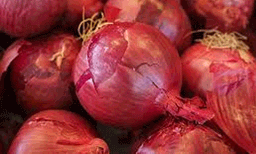 ഒറ്റ നോട്ടത്തില്‍ ഒരു സവാള ചാക്ക്; വഴിയില്‍ പ്ലാന്‍ പാളി, പിടികൂടിയത് 1600 ലിറ്റര്‍ സ്പിരിറ്റ്‌
