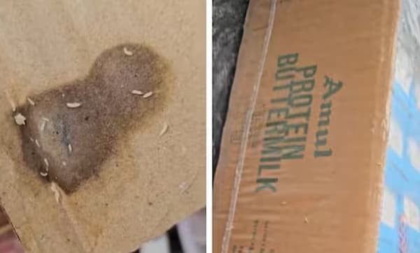 അമൂലില്‍ നിന്നു വാങ്ങിയ മോരു പാക്കറ്റില്‍ നുളക്കുന്ന പുഴുക്കള്‍: ഞെട്ടിക്കുന്ന ദൃശ്യങ്ങള്‍ പുറത്ത് 
