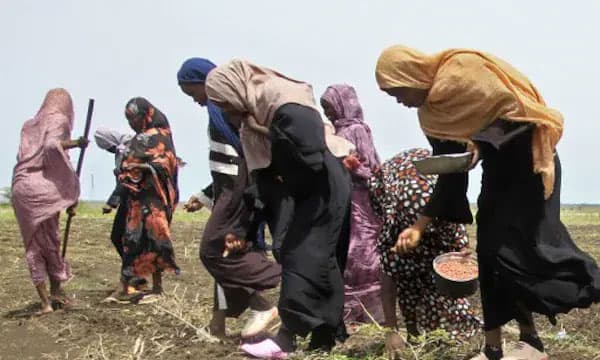 ''കുടുംബം പോറ്റണമെങ്കില്‍ ഭക്ഷണം വില്‍ക്കണം...ഭക്ഷണം കിട്ടണമെങ്കില്‍ സൈനികര്‍ക്ക് മുന്നില്‍ തുണിയുരിഞ്ഞ് നില്‍ക്കണം''