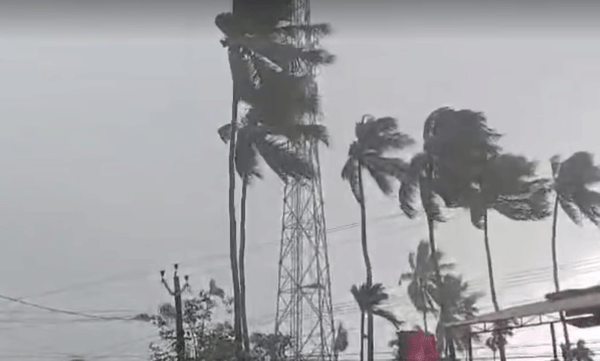 മലപ്പുറത്തും തൃശൂരിലും പാലക്കാടും ചുഴലിക്കാറ്റ്; വാഹനങ്ങള്‍ക്ക് മുകളിലേക്ക് മരം കടപുഴകിവീണു

