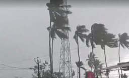 മലപ്പുറത്തും തൃശൂരിലും പാലക്കാടും ചുഴലിക്കാറ്റ്; വാഹനങ്ങള്‍ക്ക് മുകളിലേക്ക് മരം കടപുഴകിവീണു

