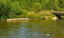 പൂനെയില്‍ ഗർഭച്ഛിദ്രത്തിനിടെ മരിച്ച  യുവതിയെയും രണ്ട് കുട്ടികളെയും ജലാശയത്തിലേക്ക് എറിഞ്ഞ് കാമുകൻ
