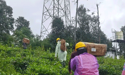 വയനാട് ഉരുള്‍പൊട്ടല്‍ മേഖലയില്‍ പ്രത്യേക ടവര്‍ സ്ഥാപിച്ച് ജിയോ, നെറ്റ്‌വര്‍ക്ക് കപ്പാസിറ്റി കൂട്ടി
