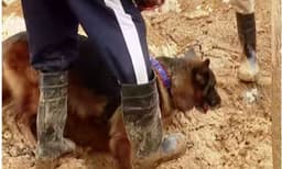 ജനകീയ തെരച്ചിലില്‍ നാലു മൃതദേഹങ്ങളും ഒരു ശരീരഭാഗം കൂടി കിട്ടി ; എയര്‍ലിഫ്റ്റ് ചെയ്ത് സുല്‍ത്താന്‍ബത്തേരിയില്‍ എത്തിക്കും