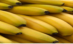 തെസ്സലോനികിയില്‍   കണ്ടെയ്നറിൽ കൊണ്ടുവന്ന വാഴപ്പഴത്തിനുള്ളിൽ നിന്ന് പിടികൂടിയത് നൂറ് കിലോയോളം  കൊക്കെയ്ൻ