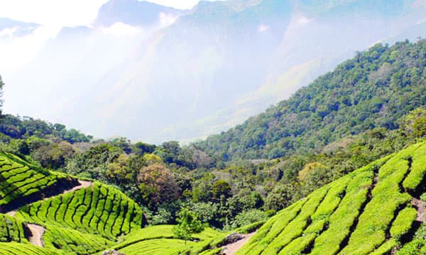പരിസ്ഥിതി ദുര്‍ബല പ്രദേശം പരിമിതപ്പെടുത്തണം ; 98 വില്ലേജുകളിലായി 8711.98 ചതുരശ്ര കിലോമീറ്ററായി പരിമിതപ്പെടുത്തണമെന്നതുള്‍പ്പെടെ കരട്  നിര്‍ദേശങ്ങള്‍ കേന്ദ്രത്തിനു സമര്‍പ്പിച്ച് കേരളം