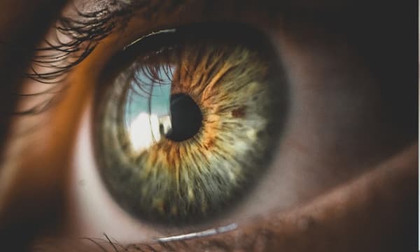 
കണ്ണില്‍ അസഹീനയമായ ചൊറിച്ചില്‍: പരിശോധനയില്‍ തെളിഞ്ഞത് 16 സെന്റീമീറ്റര്‍ നീളമുള്ള വിര, പുറത്തെടുത്ത് ഡോക്ടര്‍
