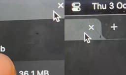 
ലാപ്‌ടോപ്പില്‍ സ്‌ക്രീനില്‍ പരതി നടക്കുന്ന ഉറുമ്പ്: വൈറലായി വീഡിയോ