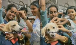 എന്തൊരു ക്യുട്ട്: ട്രെയിന്‍ യാത്രയ്ക്കിടെ ആളുകളുടെ മനംകവര്‍ന്നത് ആരാണെന്ന് കണ്ടോ? വൈറലായി വീഡിയോ 
