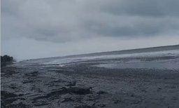 ആലപ്പുഴ തോട്ടപ്പള്ളിയിൽ കടൽ ഉൾവലിഞ്ഞു; പല്ലനയിൽ കടൽക്ഷോഭം , തീരദേശ ജില്ലകളിൽ റെഡ് അലർട്ട്

