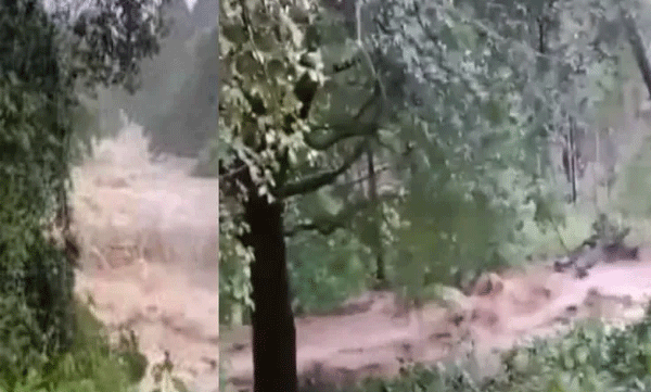 അതിതീവ്ര മഴ, മലമ്പുഴയില്‍  പൊട്ടലെന്ന് സംശയം;  കല്ലമ്പുഴയില്‍ ജലനിരപ്പുയർന്നു