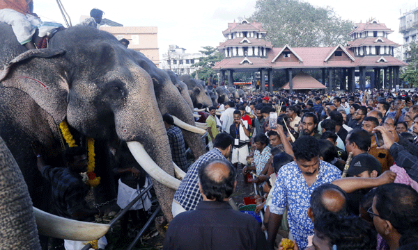 സ്വകാര്യ ചടങ്ങുകള്‍, ഉദ്ഘാടനങ്ങള്‍ എന്നിവയില്‍ ആന വേണ്ട...മതപരമായ ചടങ്ങുകള്‍ക്കു മാത്രം മതി ; ഒരു ദിവസം 100 കിലോമീറ്ററിലധികം വാഹനത്തില്‍ കൊണ്ടുപോകുകയും ചെയ്യരുത്