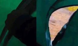 ഞാനങ്ങ് ഇല്ലാണ്ടായി! ടെന്റിന് പുറത്ത് ഭീകര ശബ്ദം, പുറത്തേക്ക് നോക്കിയ യുവാവ് കണ്ടത് ഞെട്ടിക്കുന്ന കാഴ്ച 


