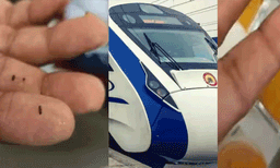 വന്ദേഭാരതിൽ വിളമ്പിയ സാമ്പാറിൽ പ്രാണികൾ, ഭക്ഷണ വിതരണക്കാരന് 50000 രൂപ പിഴ ചുമത്തി റെയിൽവെ