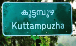 കോതമംഗലത്ത് പശുക്കളെ തിരഞ്ഞ് വനത്തില്‍ പോയ മൂന്ന് സ്ത്രീകളെ കാണാനില്ല
