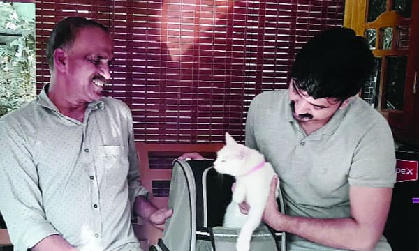 ഒരു വയസുകാരി 'ഇവ' കൊച്ചി വിമാനത്താവളത്തില്‍ പറന്നിറങ്ങി ; ടര്‍ക്കിഷ് ബില്‍ഡ് ഇനത്തില്‍പ്പെട്ട പൂച്ചയെ പ്രവാസജീവിതം മതിയാക്കി പോരുമ്പോഴും രാമചന്ദ്രനും മകന്‍ റെനീഷും ഉപേക്ഷിച്ചില്ല