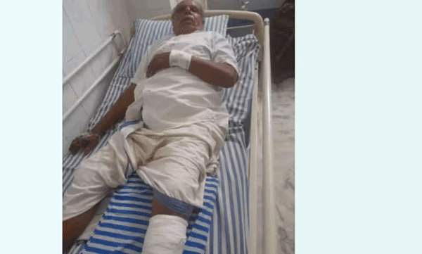 കാട് വെട്ടിത്തെളിക്കുന്നതിനിടെ പാഞ്ഞെത്തി കാട്ടുപന്നി, ആലപ്പുഴയിൽ വയോധികന് ഗുരുതര പരിക്ക്