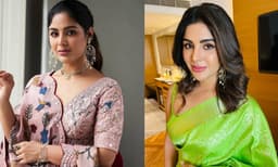 ഒത്തിരി യാത്രകള് ചെയ്യാന് കഴിഞ്ഞു, സന്തോഷിച്ച നിമിഷങ്ങള് ഏറെയായിരുന്നു; 2024 നെക്കുറിച്ച് സംയുക്ത മേനോന്