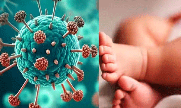 'നിലവിൽ പേടിക്കേണ്ട സാഹചര്യമില്ല' ; എച്ച്എംപിവിയെ നേരിടാൻ രാജ്യം സുസജ്ജമെന്ന് ഐസിഎംആർ