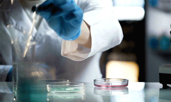 രക്തക്കറ കളയാനും എല്ലുകള്‍ അലിയിക്കാനും എന്ത് ചെയ്യണം: വീഡിയോ പങ്കിട്ട് യുവ ഗവേഷകന്‍, പരക്കെ വിമര്‍ശനം 
