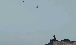 കോവിഡ് കാലത്ത് പട്ടം പറത്തിയ കുരങ്ങനെ ഓര്‍മയുണ്ടോ? വീണ്ടും വൈറലായി വീഡിയോ 
