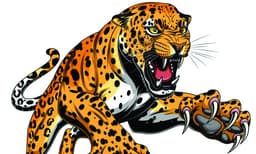 വന്യജീവി ആക്രമണം : സുപ്രധാന വിവരങ്ങള്‍ സൂക്ഷിച്ചിട്ടില്ലെന്ന് വനം-വന്യജീവി വകുപ്പ്