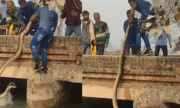 അമ്പമ്പോ! അപാര ധൈര്യം തന്നെ: കൂറ്റന്‍ പെരുമ്പാമ്പിനെ വെള്ളത്തില്‍ നിന്ന് വലിച്ചെടുത്ത് യുവാവ്, ഞെട്ടിക്കുന്ന ദൃശ്യങ്ങള്‍ പുറത്ത്
