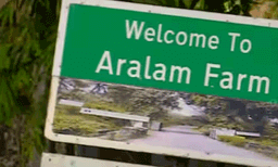 ആറളം ഫാമിൽ സ്വകാര്യ സംരംഭകർക്കൊപ്പം പങ്കാളിത്ത കൃഷി, പാട്ടത്തിന് നൽകുക 30 വർഷം; എതിർത്ത് ഇടത് സംഘടനകൾ