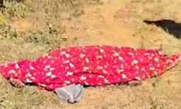 വയനാട്ടില്‍ വീണ്ടും കാട്ടാനയുടെ ആക്രമണത്തില്‍ മരണം ; അട്ടമലയില്‍ ഒരാള്‍ കൊല്ലപ്പെട്ടു