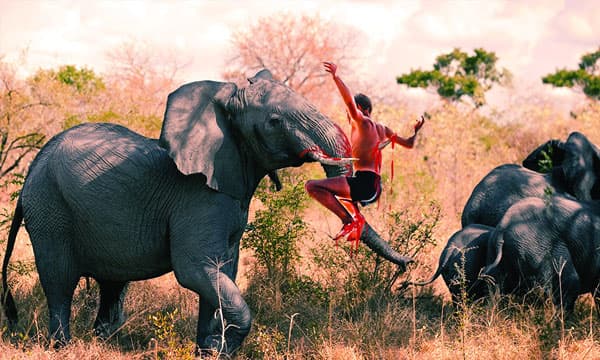 ജീവഭയത്തോടെ മലയോരം ; എട്ടുവര്‍ഷം, ആനപ്പകയില്‍ മലയോരത്ത് പൊലിഞ്ഞത് 12 ജീവനുകള്‍ ; ആറളം ഫാമിനകത്ത് മാത്രം 40ലേറെ ആനകള്‍