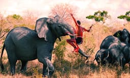 ജീവഭയത്തോടെ മലയോരം ; എട്ടുവര്‍ഷം, ആനപ്പകയില്‍ മലയോരത്ത് പൊലിഞ്ഞത് 12 ജീവനുകള്‍ ; ആറളം ഫാമിനകത്ത് മാത്രം 40ലേറെ ആനകള്‍