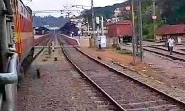 ഏറ്റുമാനൂരില്‍ റെയില്‍വേട്രാക്കില്‍ മൂന്ന് മൃതദേഹങ്ങള്‍ ; ചിന്നിച്ചിതറിയ നിലയില്‍, ആള്‍ക്കാരെ തിരിച്ചറിഞ്ഞില്ല