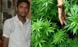 പത്തനംതിട്ടയിൽ കഞ്ചാവുമായി യൂത്ത് കോൺഗ്രസ് പ്രവർത്തകൻ പിടിയിൽ