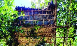 വിദ്യാഭ്യാസവും പോഷകാഹാരവുമില്ല ; ഇടുക്കിയില്‍ പുഴയോരത്തെ പുറമ്പോക്കിലുള്ള ഏറുമാടത്തില്‍ നിന്നു മൂന്ന് ആദിവാസി കുട്ടികളെ കണ്ടെത്തി 