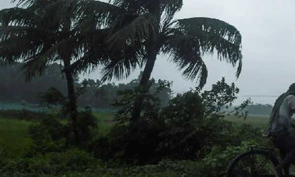 സംസ്ഥാനത്ത് മലയോരമേഖലയില്‍ വേനല്‍ കനക്കുന്നു; കോഴിക്കോടും മലപ്പുറത്തും ശക്തമായ കാറ്റ്‌
