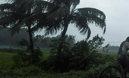 സംസ്ഥാനത്ത് മലയോരമേഖലയില്‍ വേനല്‍ കനക്കുന്നു; കോഴിക്കോടും മലപ്പുറത്തും ശക്തമായ കാറ്റ്‌
