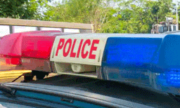 വൃദ്ധയെ തോക്കുചൂണ്ടി കൊള്ളയടിക്കാൻ ശ്രമിച്ച സംഭവം; ഭാര്യക്ക് ജീവനാംശം നൽകാനെന്ന് പ്രതികൾ